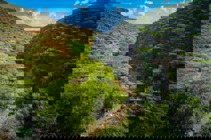 278196633_10160242515783474_4383926468928754229_n